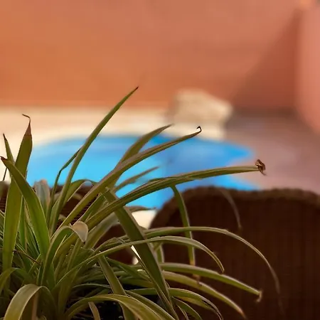 Bajo El Mar * Caleta De Fuste